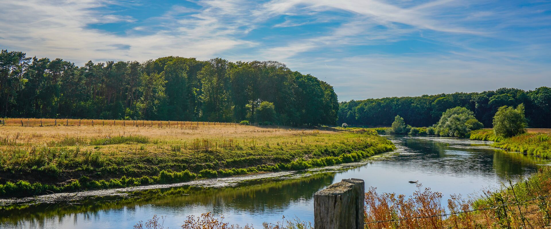 RiskPlus auf dem Forum für Technische Führungskräfte & TSM-Verantwortliche